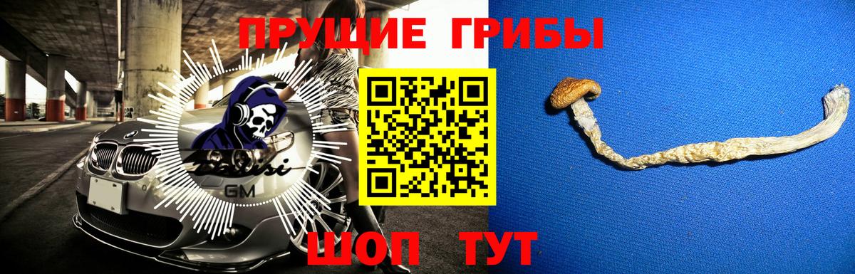 Псилоцибиновые грибы ЛСД  Вход с VPN  Кызыл 